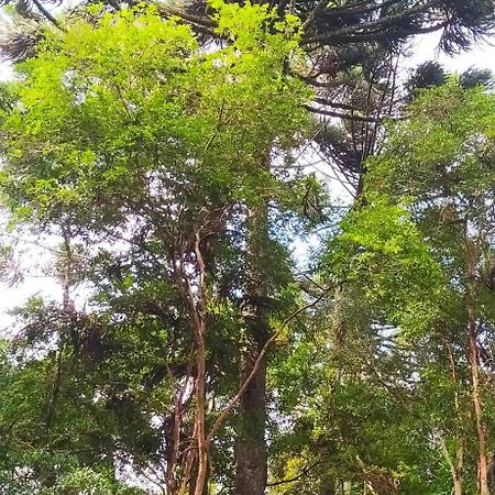 Chacara Rancho Paraiso Piraquara Экстерьер фото
