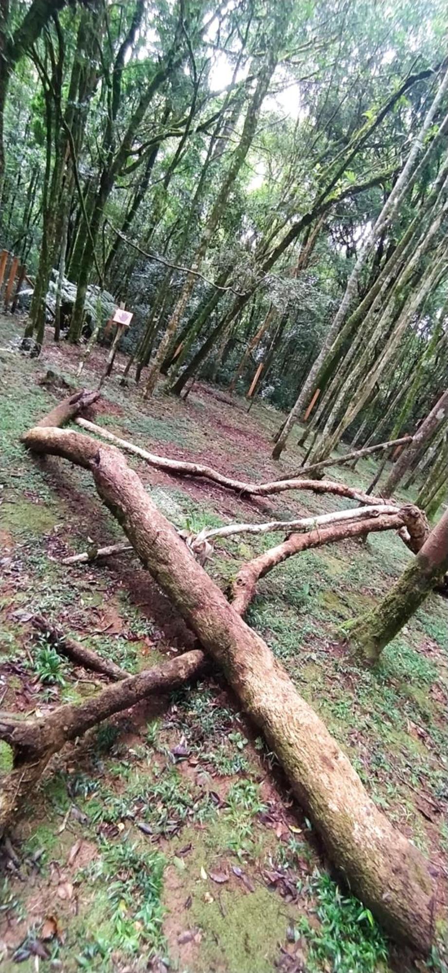 Chacara Rancho Paraiso Piraquara Экстерьер фото