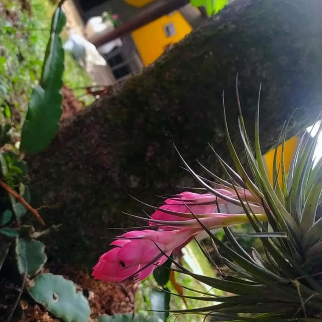 Chacara Rancho Paraiso Piraquara Экстерьер фото