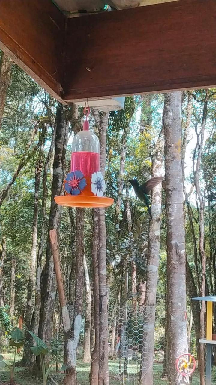 Chacara Rancho Paraiso Piraquara Экстерьер фото