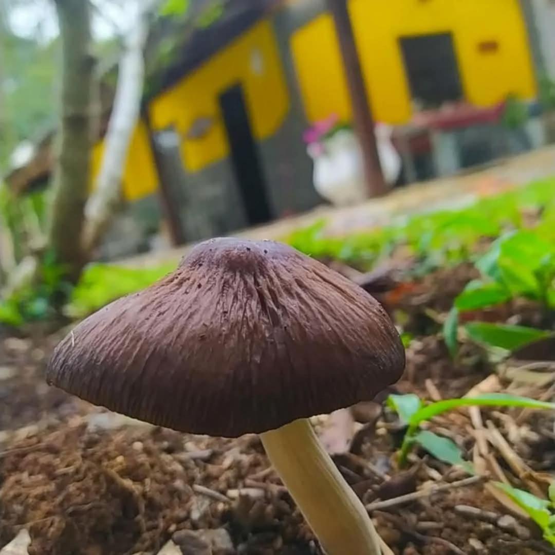 Chacara Rancho Paraiso Piraquara Экстерьер фото