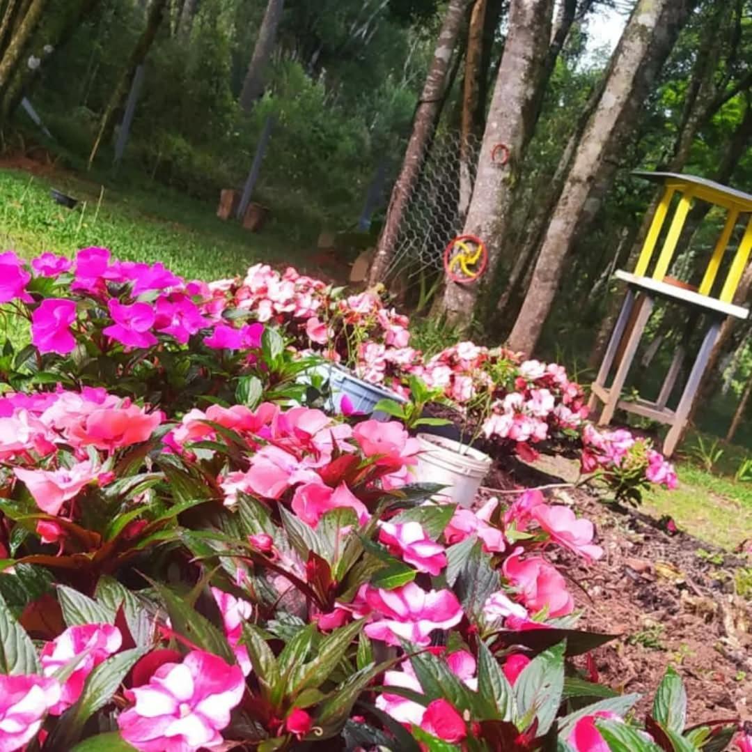 Chacara Rancho Paraiso Piraquara Экстерьер фото